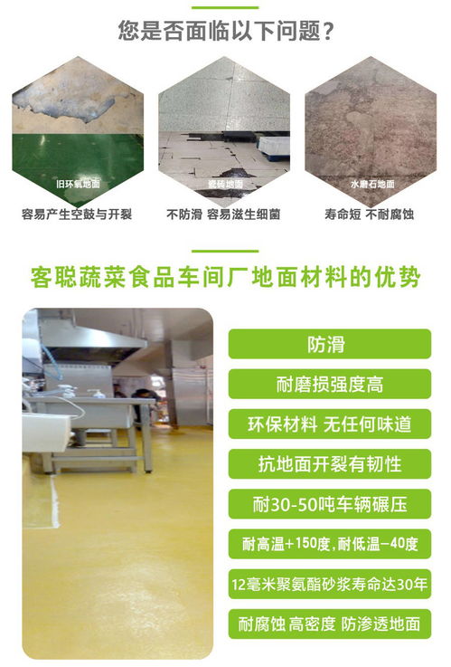 客聰蔬菜食品廠地面材料探傷儀的精密選型與應(yīng)用